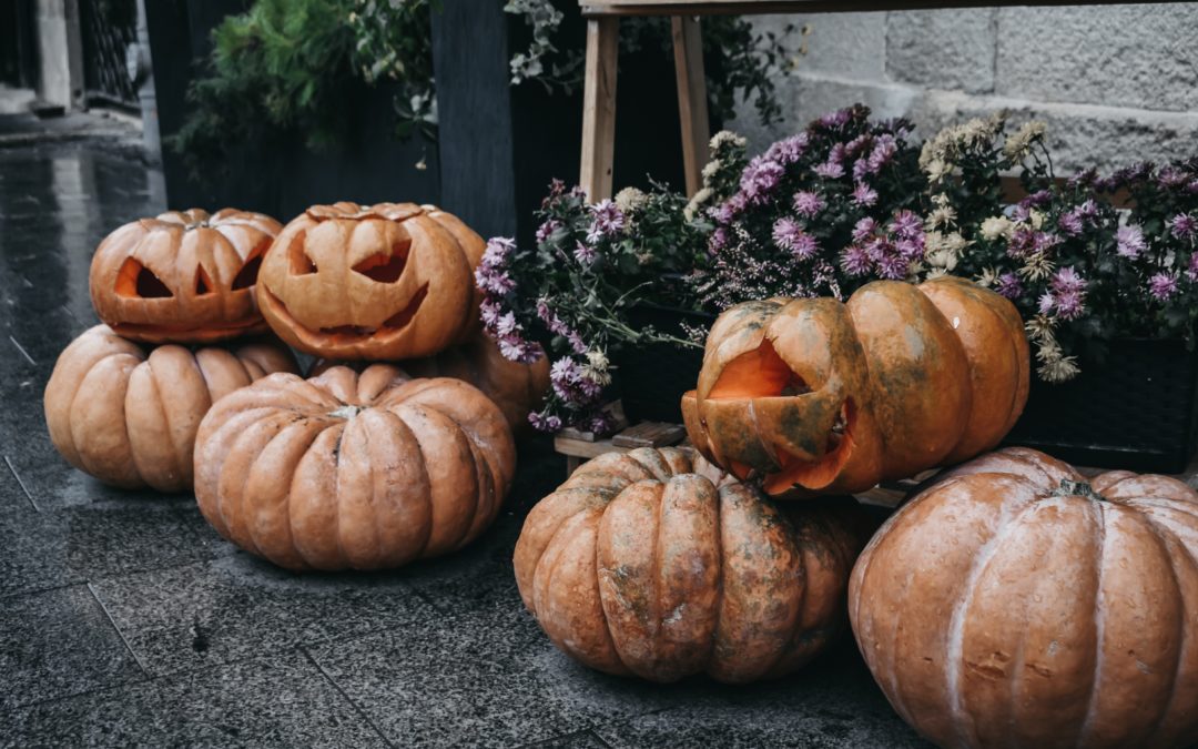 Kürbiszeit: Rezepte & Tipps für unsere orangeroten Herbstfreunde