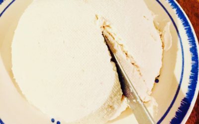 Käse aus (saurer) Milch